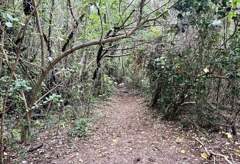 هتل Serenity Island Resort