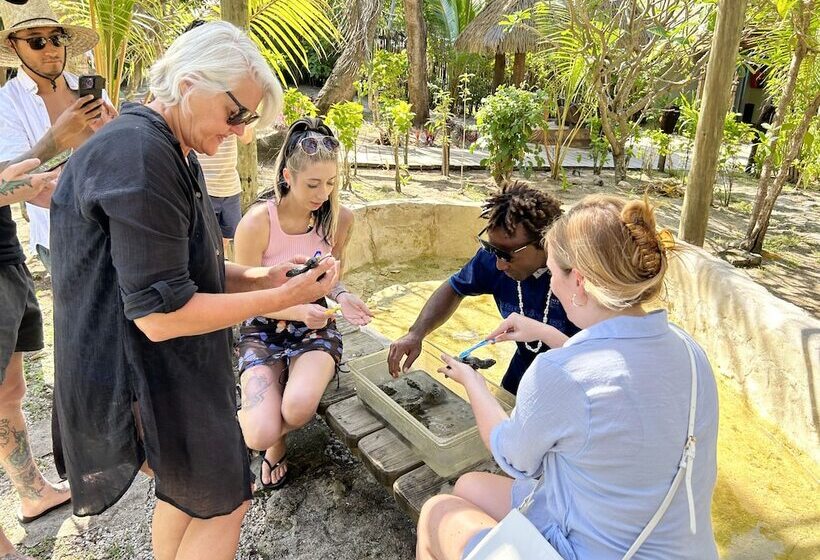 בית מלון כפרי Serenity Island Resort