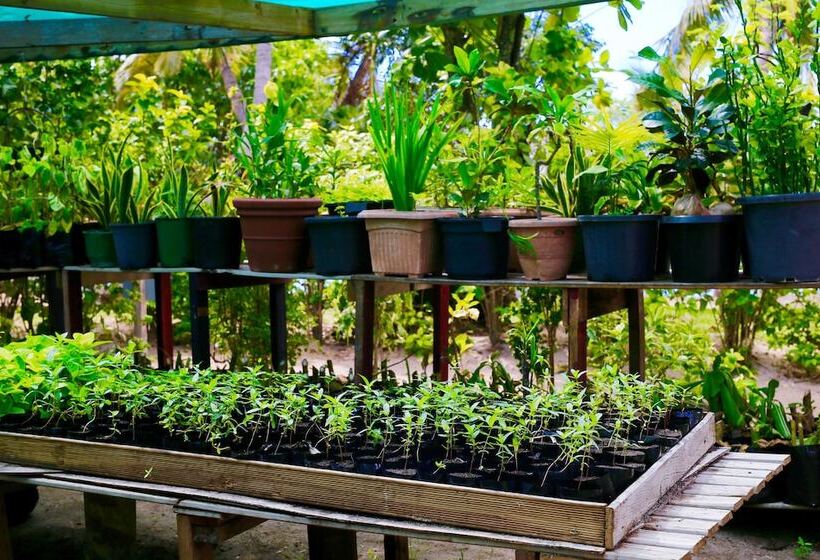 בית מלון כפרי Serenity Island Resort