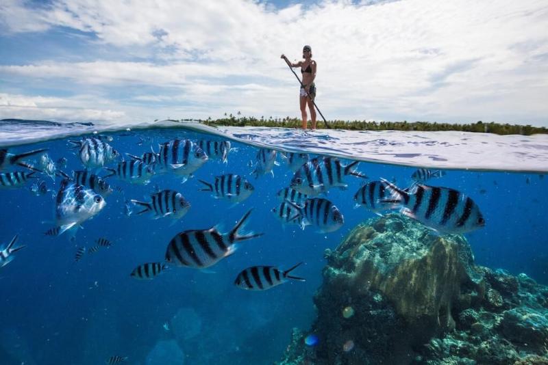 בית מלון כפרי Serenity Island Resort