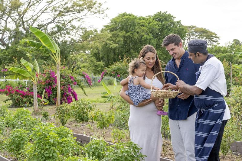 ホテル Sheraton Fiji Golf & Beach Resort