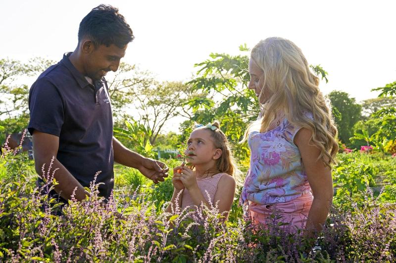 ホテル Sheraton Fiji Golf & Beach Resort