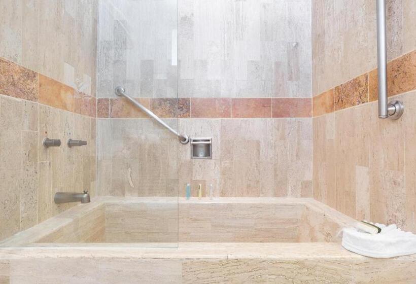 ホテル Villa Del Palmar Beach Resort & Spa Puerto Vallarta