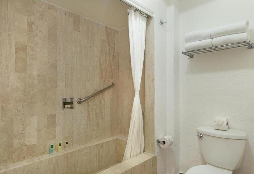 ホテル Villa Del Palmar Beach Resort & Spa Puerto Vallarta