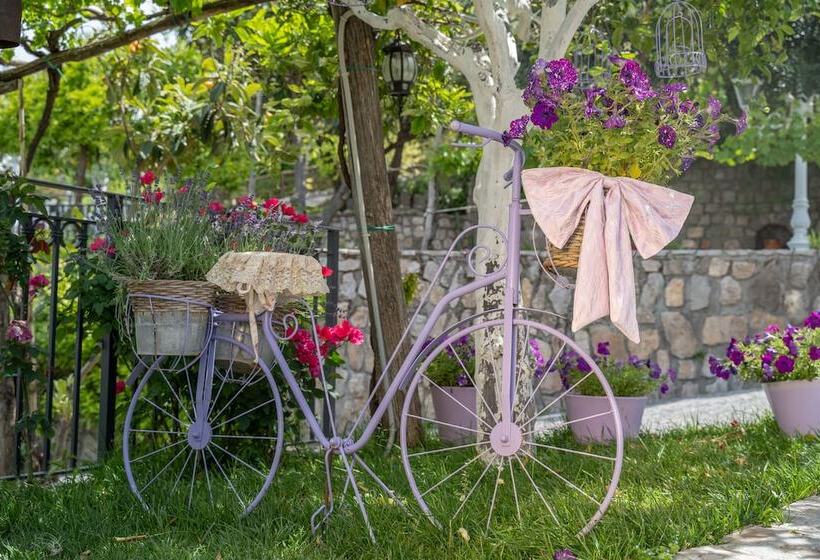 בית מלון כפרי Villa Palmentiello