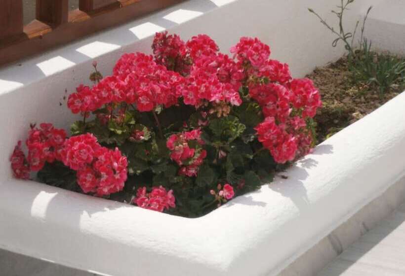 בית מלון כפרי Villa Voula