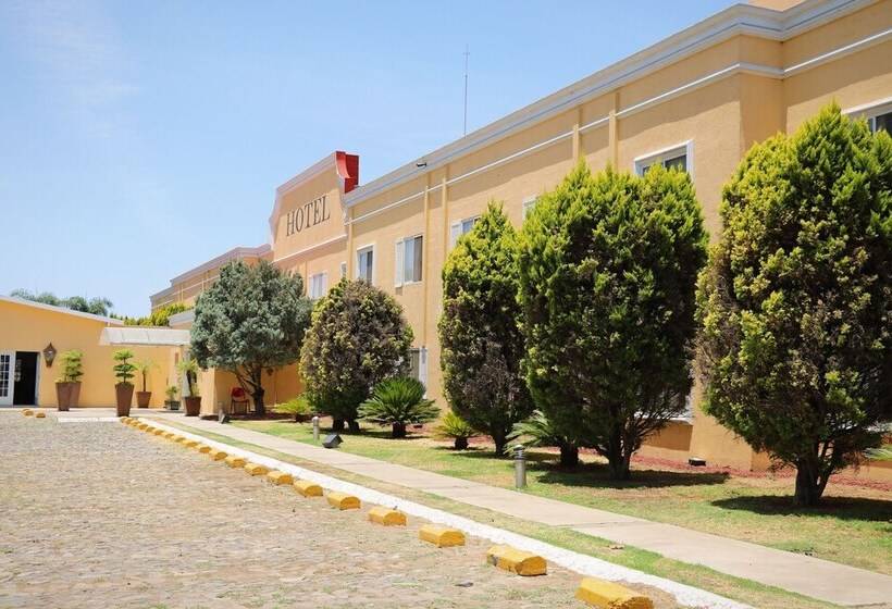 فندق Zar Guadalajara