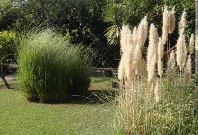 هتل Zenitude Hôtel Résidences Le Cannet