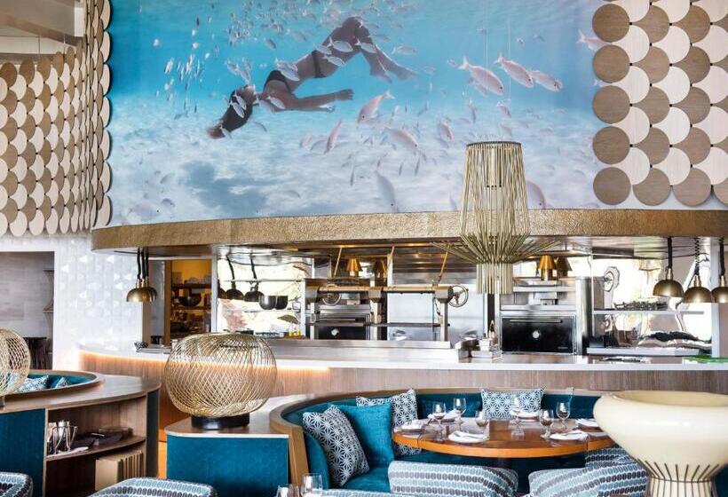 Курорт The Reef At Atlantis