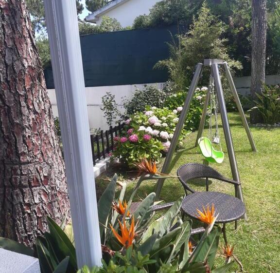 Bed and Breakfast Verde Pinho Bed&breakfast