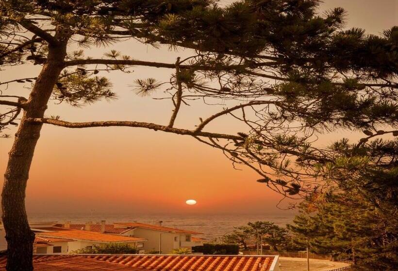 Bed and Breakfast Verde Pinho Bed&breakfast