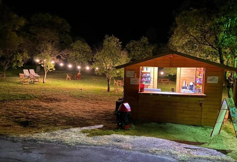 فندق Aldeaduero  Rural