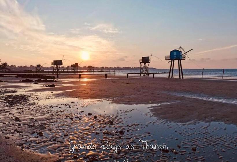 膳宿费 Juste Par Hasard Chambres D Hôtes Insolites à 140 M De La Mer
