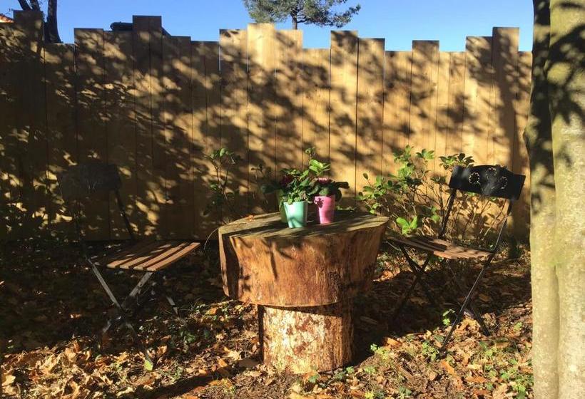 膳宿费 Juste Par Hasard Chambres D Hôtes Insolites à 140 M De La Mer