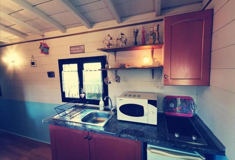 膳宿费 Juste Par Hasard Chambres D Hôtes Insolites à 140 M De La Mer