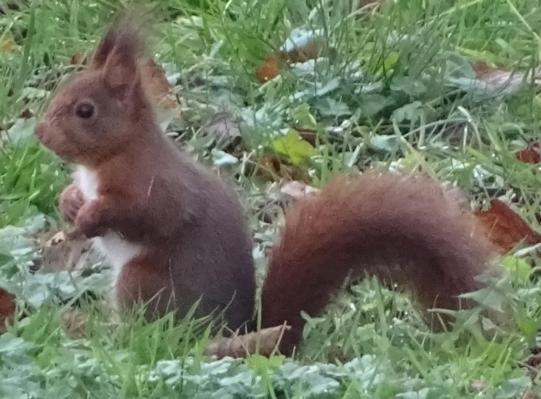 مبيت وإفطار Au Bonheur De Cisse