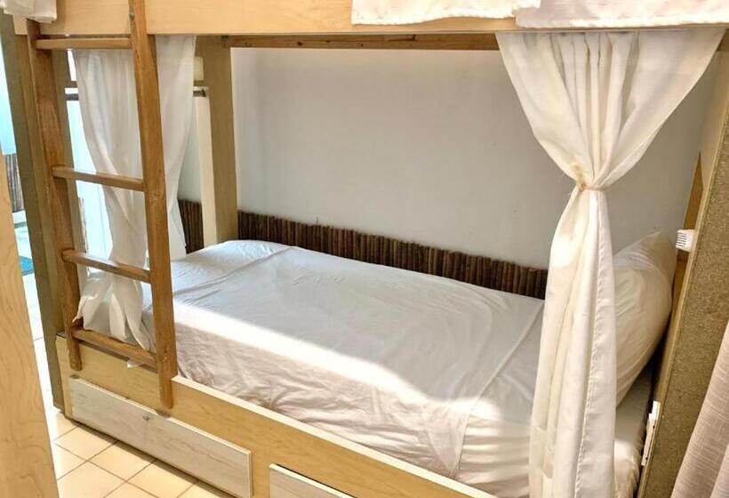 Hostel Boutique Musa Paradisiaca