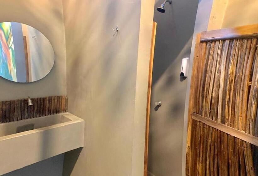 Hostel Boutique Musa Paradisiaca