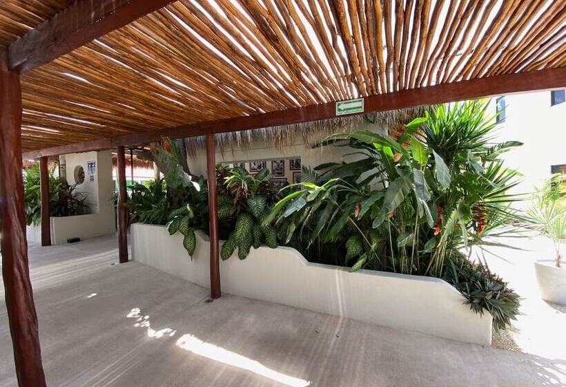 호텔 Blue Palm Bacalar