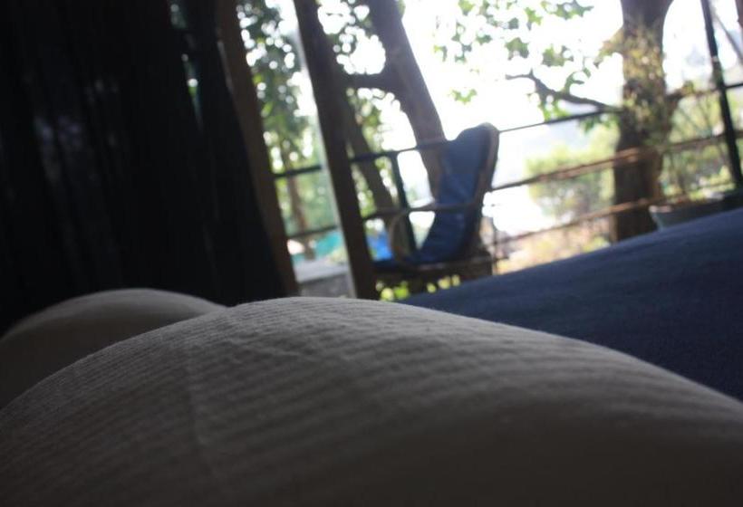 호텔 Bramha Cottages