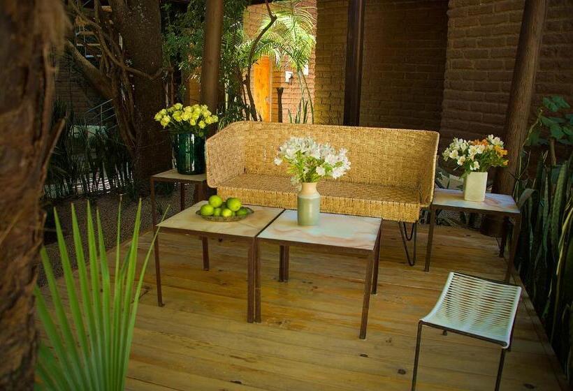 Отель Casa Limon