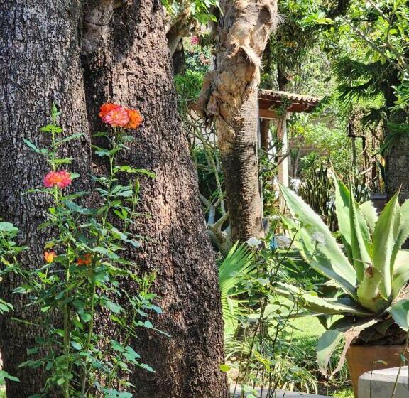 Отель Casa Limon