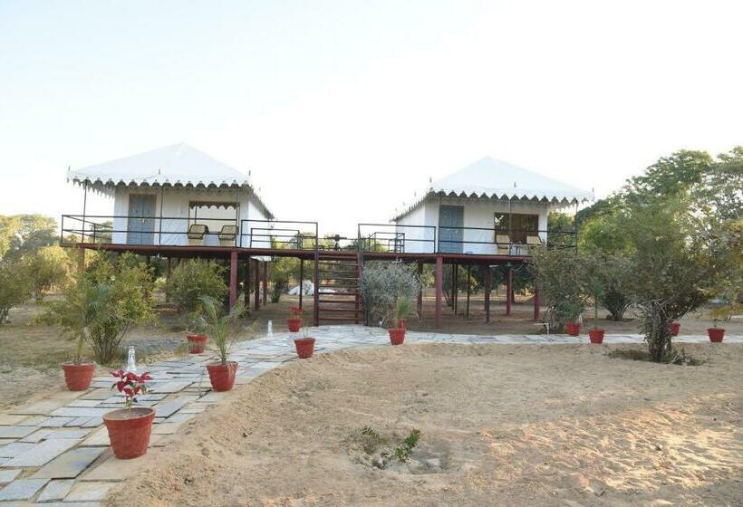 فندق Jawai Nature Stay Jawai