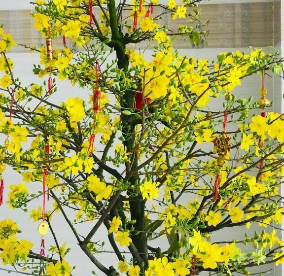 هتل Nhà Nghỉ LÂm Anh