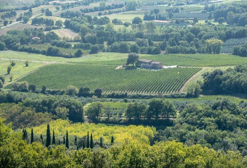 ホテル Podere La Doccia