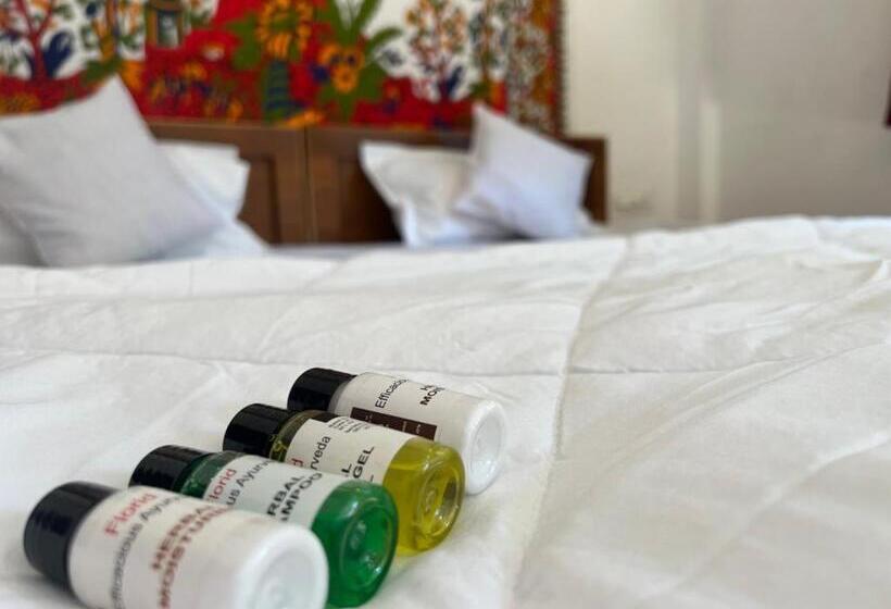 Отель Pushkar Golden Haveli