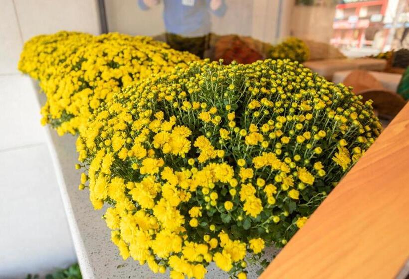 هتل Rivera Tuy Hòa