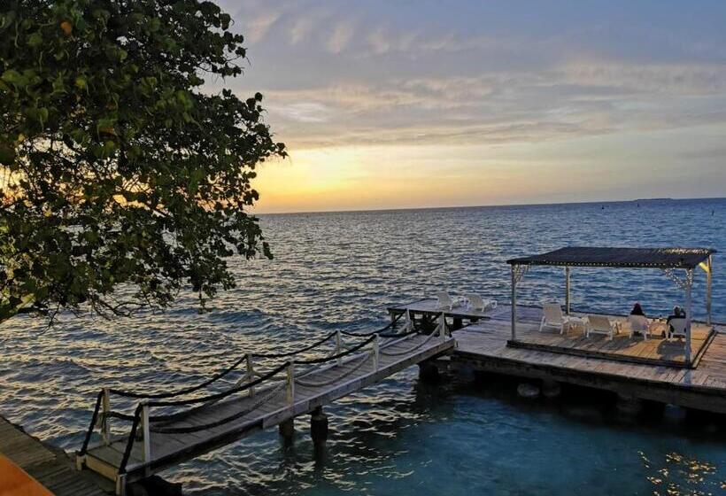 ホテル Rosario Eco