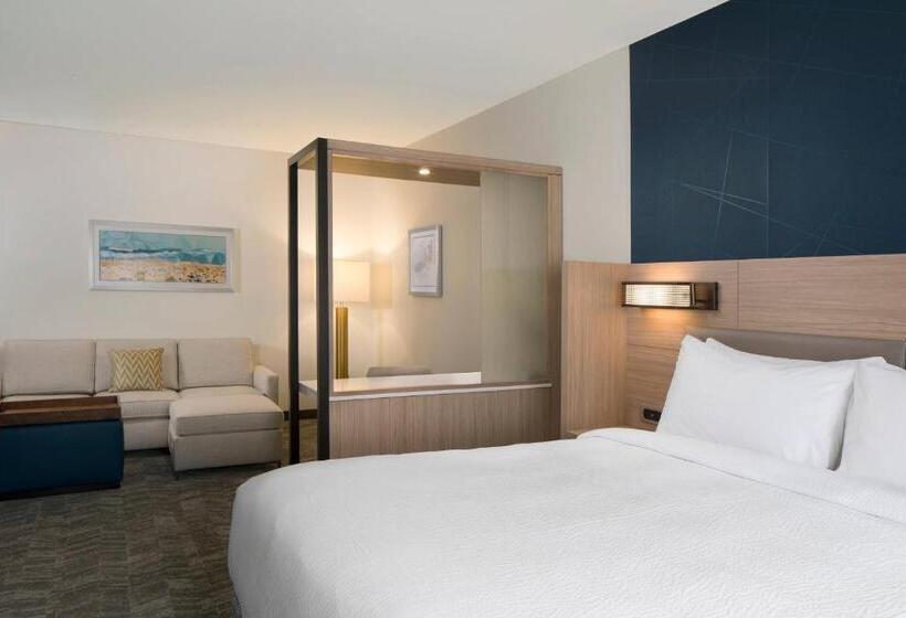 فندق Springhill Suites By Marriott Amelia Island