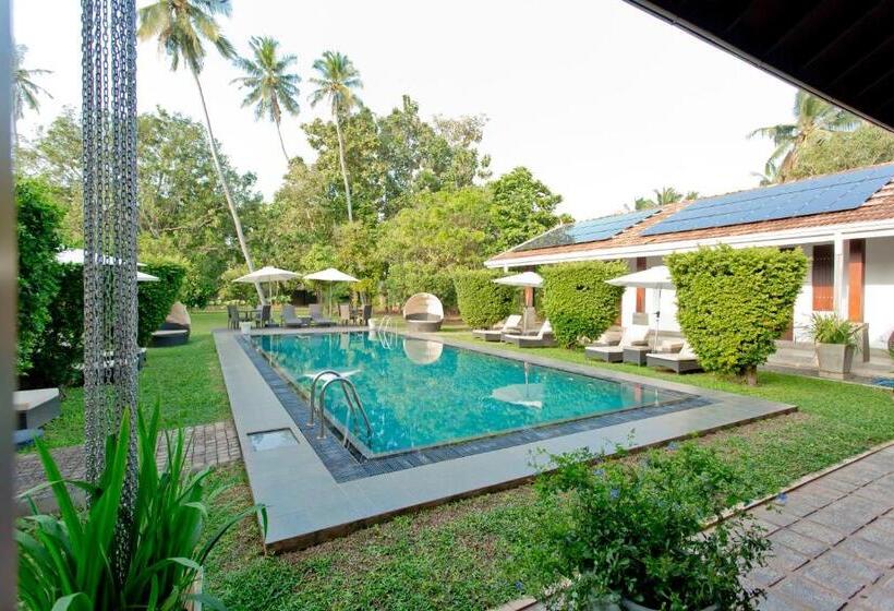 בית מלון כפרי Swanee Grand