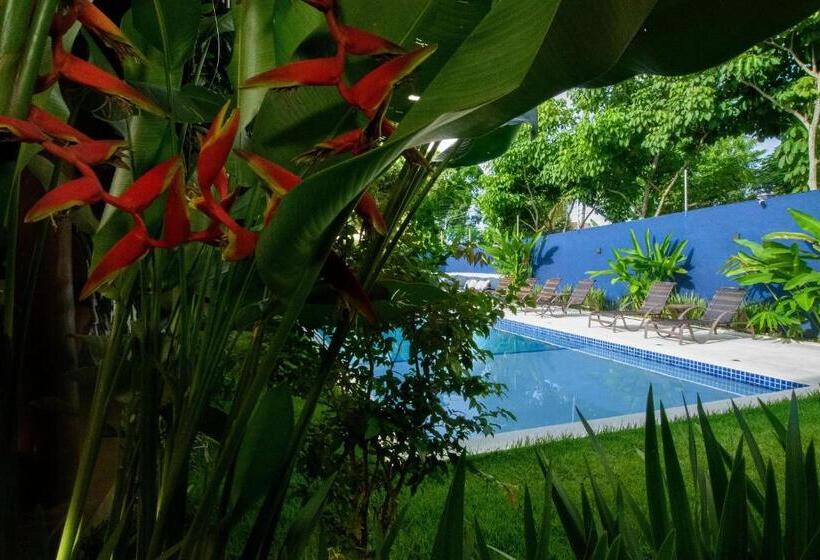 膳宿费 Aqui Bate A Brisa Pousada