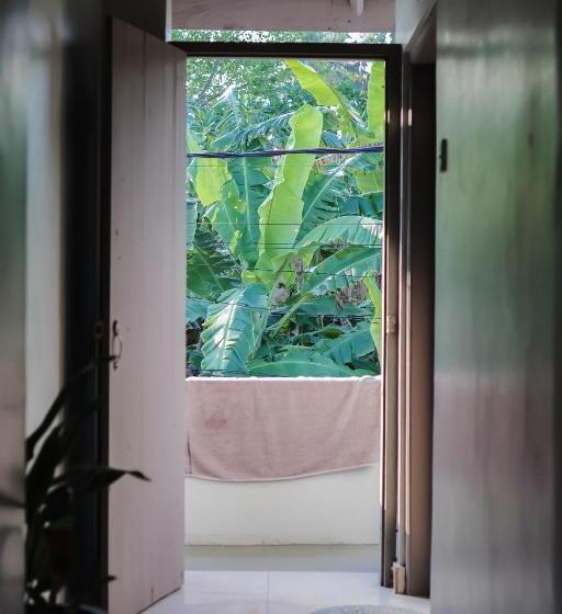 ペンション Hawara Coliving Midigama