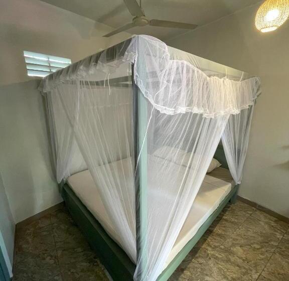 ペンション Hawara Coliving Midigama