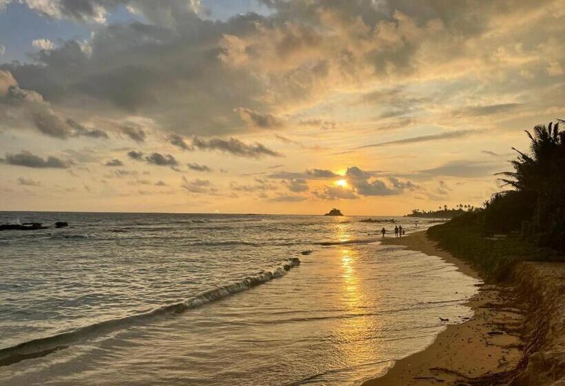 ペンション Hawara Coliving Midigama