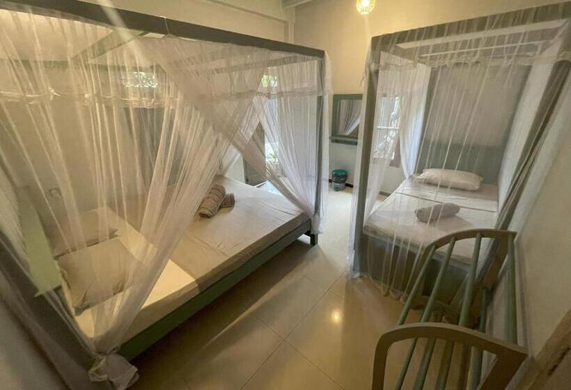 ペンション Hawara Coliving Midigama