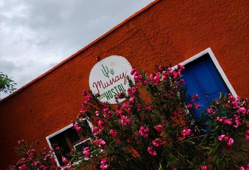 Пансион Munay Ecohostal   Cabañas De Adobe