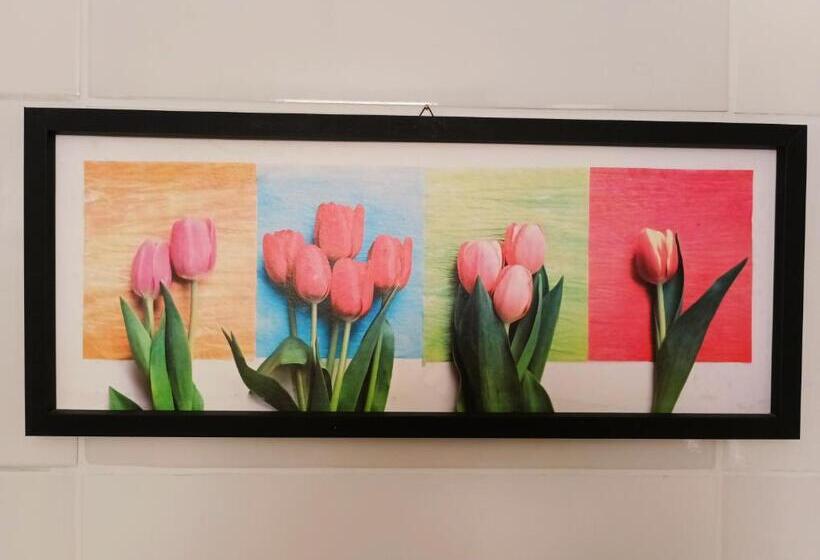 Пансион Pousada Executiva Solriso Aeroporto Florianópolis