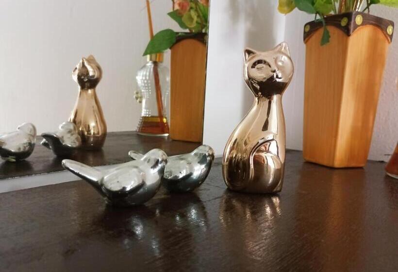 Пансион Pousada Executiva Solriso Aeroporto Florianópolis