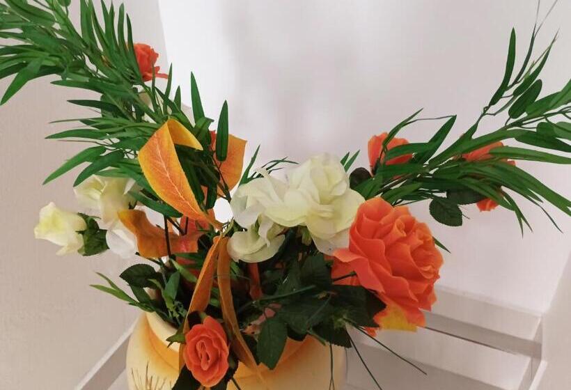 Пансион Pousada Executiva Solriso Aeroporto Florianópolis