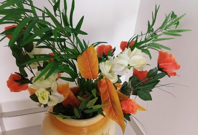 Пансион Pousada Executiva Solriso Aeroporto Florianópolis