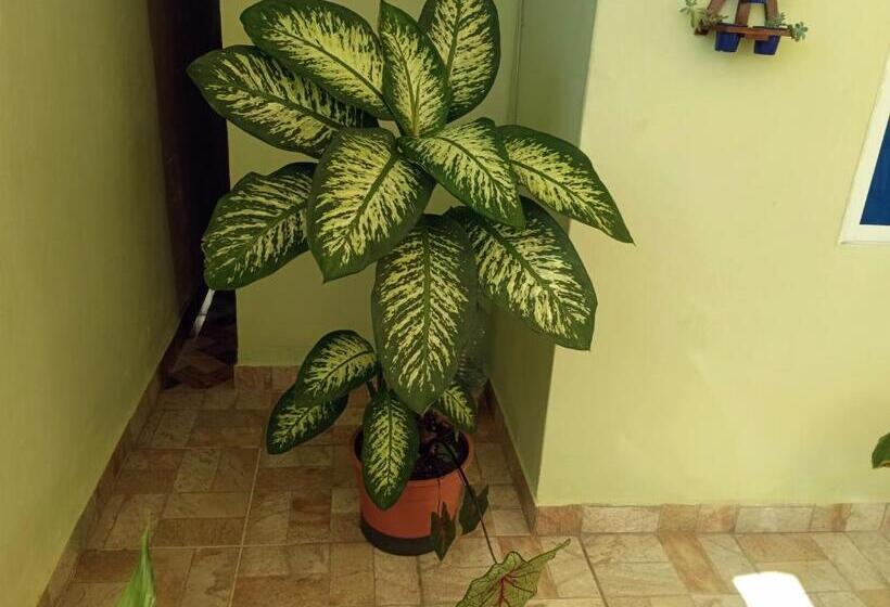 Пансион Pousada Executiva Solriso Aeroporto Florianópolis