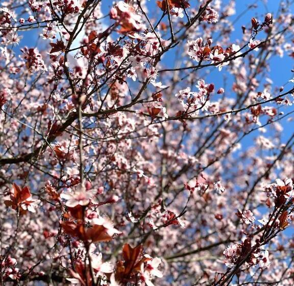 Пансион Villa Vitturi