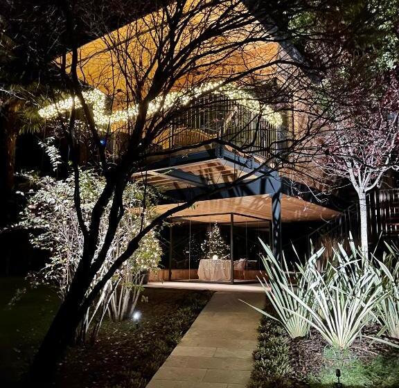 منتجع Treelodgy, The Tree House