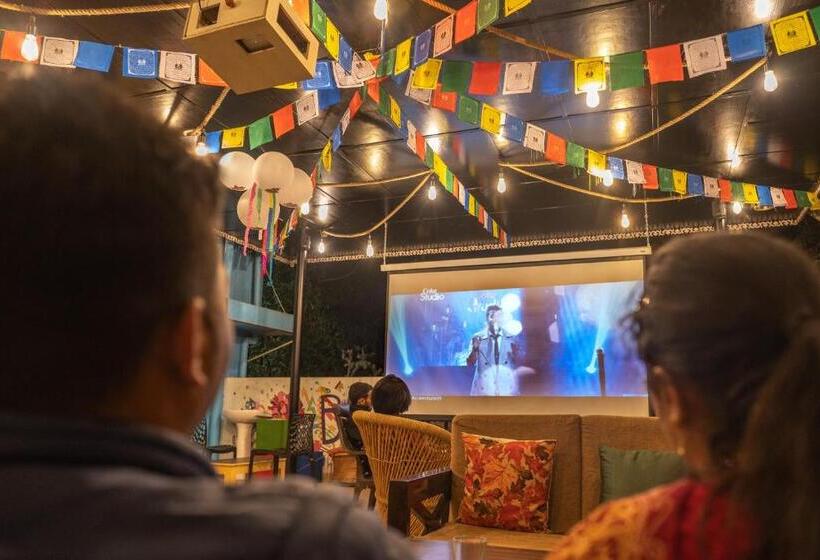 Общежитие The Trippy Tribe