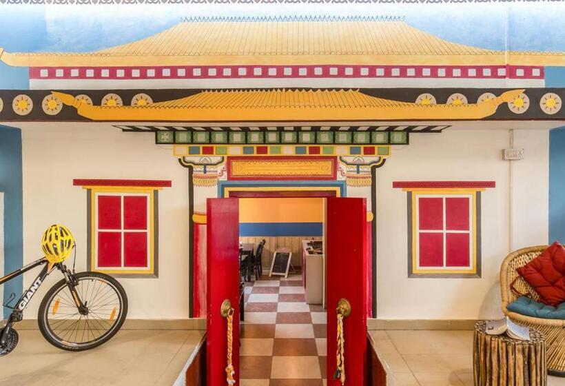 Общежитие The Trippy Tribe