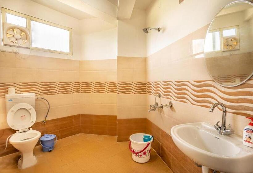 Общежитие The Trippy Tribe